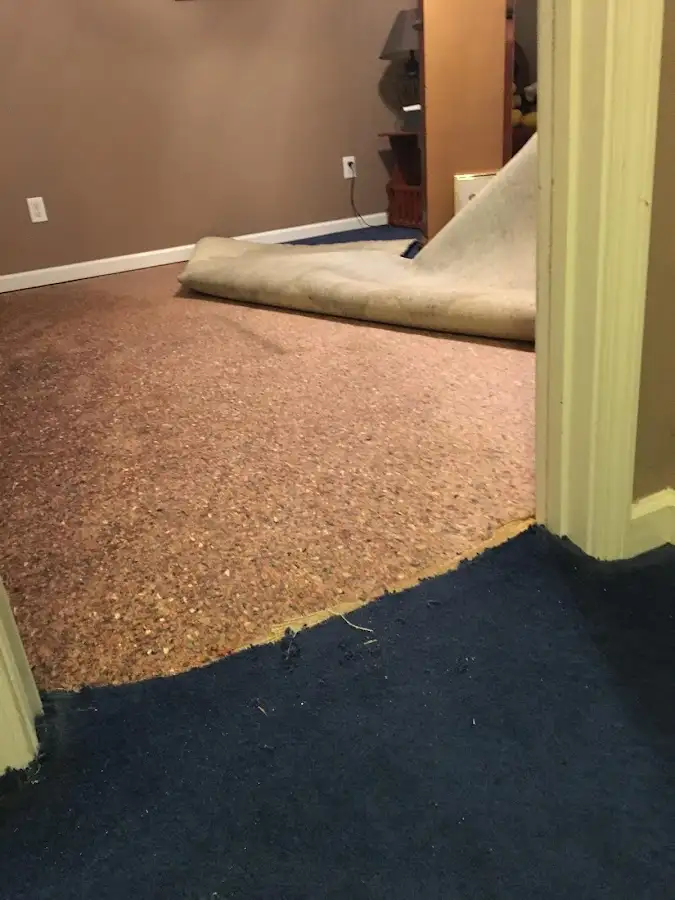 Carpet pad removal revealing water damage during Drying & Dehumidification in Williston