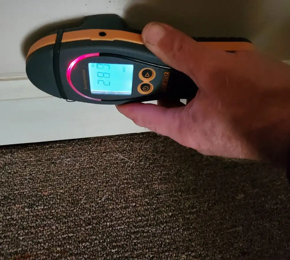 Moisture detection at baseboard during Sewage Cleanup & Sanitation in Williston