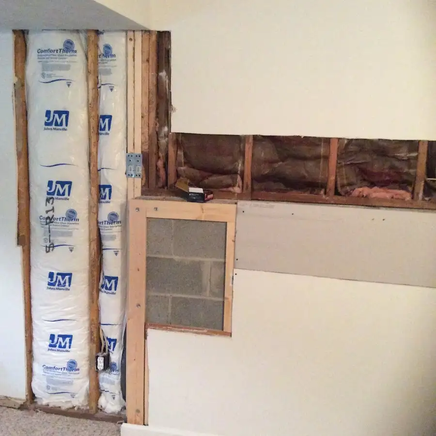 Wall insulation replacement during Odor Removal & Deodorization in Williston